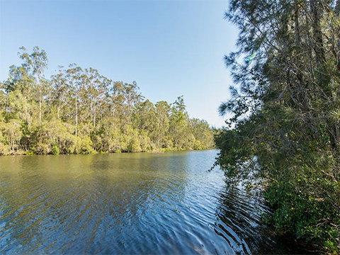 Ferny Creek Campground - Tourism Caloundra 1