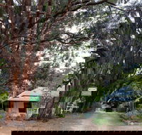 Fernleigh Accommodation - Tourism Caloundra
