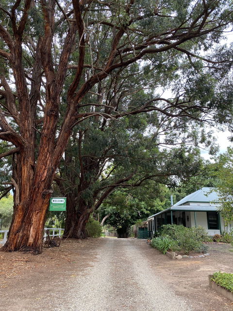Fernleigh Accommodation - Tourism Caloundra 0