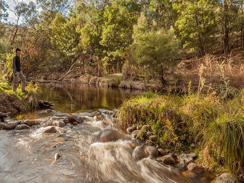 Jacobs River Campground - Tourism Caloundra 2