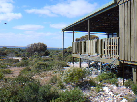 Melaleuca - Eco And Pet Friendly,  Harbor Point Cabins - Tourism Caloundra 1