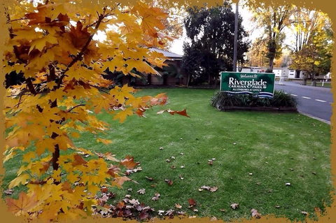 Riverglade Caravan Park - Tourism Caloundra 0