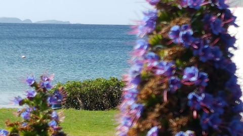 Rock Lobster - Tourism Caloundra 2