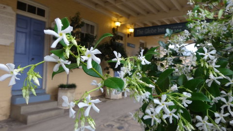 The Globe Inn - Tourism Caloundra 1