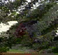 Turkeys Nest Rainforest Cottages Mt Glorious - Tourism Caloundra
