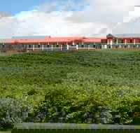 Turners Vineyard Motel - Tourism Caloundra