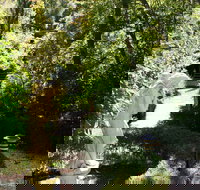 Aldgate Lodge Bed  Breakfast - Tourism Caloundra