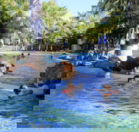 Big4 Aussie Outback Oasis Holiday Park - Tourism Caloundra