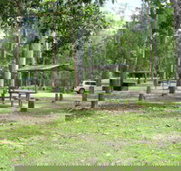 Broadwater camping area Abergowrie State Forest - Tourism Caloundra