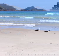 Eagles Rise Tasmania - Tourism Caloundra