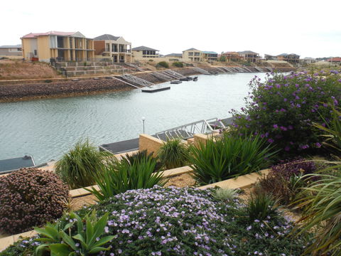 Happy Gilmore - Tourism Caloundra 0