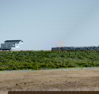 Hounds Run Vineyard - Tourism Caloundra