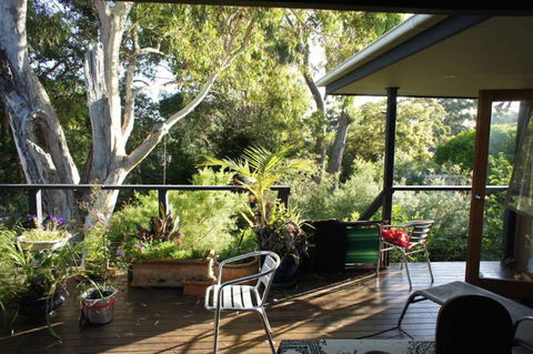 Kookaburra Dreaming - Tourism Caloundra 2