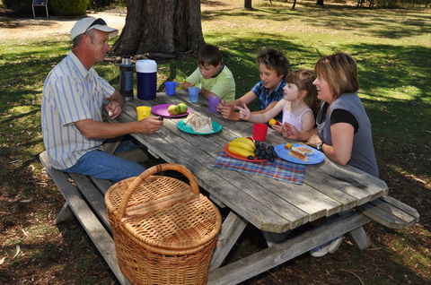 Naracoorte Caves Camping And Accomodation - Tourism Caloundra 0