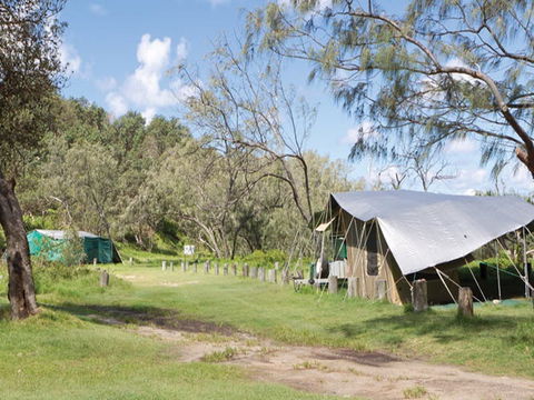 Pebbly Beach Campground - Yuraygir National Park - Tourism Caloundra 0