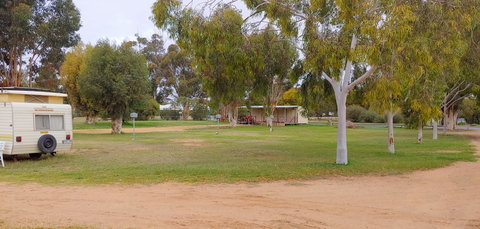 Pinnaroo Caravan Park - Tourism Caloundra 1