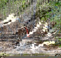 Rakhi Retreat - Tourism Caloundra