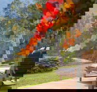 Riverdowns - Tourism Caloundra