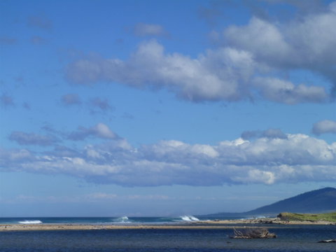 Scamander On The Beach - Tourism Caloundra 1