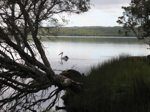 The Cove - Tourism Caloundra 0