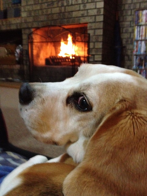 The Retreat On Matthew - Tourism Caloundra 1