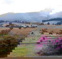 The Barn  House Farm Stay at Possum Manor - Tourism Caloundra