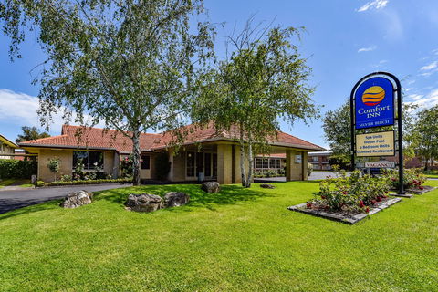 The Henty - Tourism Caloundra 0