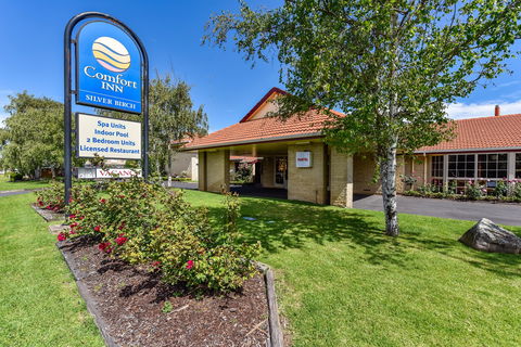 The Henty - Tourism Caloundra 1