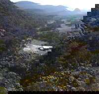 Wollemi Retreat - Tourism Caloundra