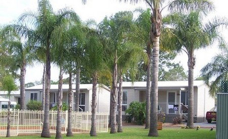 Treehaven Tourist Park - Tourism Caloundra 3