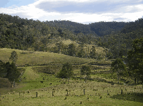 Yasuragi Cabins - Tourism Caloundra 0