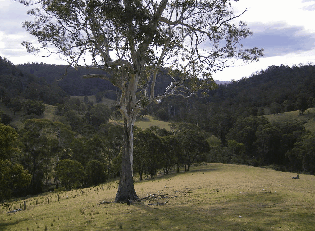 Yasuragi Cabins - Tourism Caloundra 1