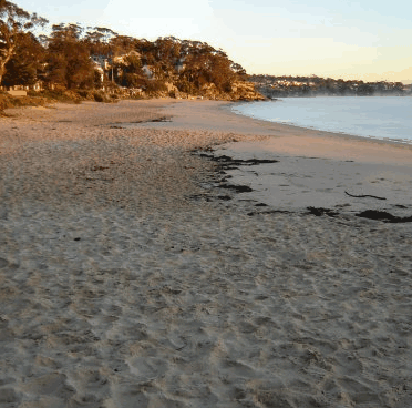 Beachhaven Bed & Breakfast - Tourism Caloundra 5