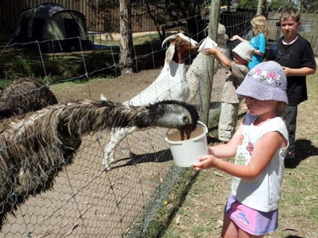 Bairnsdale Holiday Park - Tourism Caloundra 2