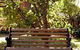 Tara House Bed And Breakfast - thumb 4
