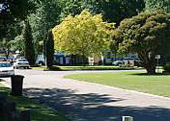 Mitchell Gardens Holiday Park - Tourism Caloundra 0