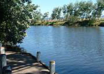 Mitchell Gardens Holiday Park - Tourism Caloundra 2