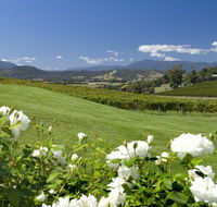 Balgownie Estate Vineyard Resort and Spa - Tourism Caloundra