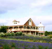 Serendipity Lavender Farm - Tourism Caloundra