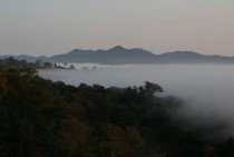 Bumblebrook Farm Motel - Tourism Caloundra 4