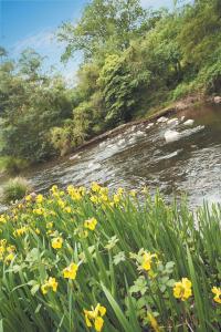 Grange Yarra Valley - Tourism Caloundra 4