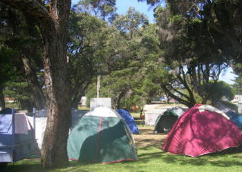 QueenscliffeTourist Park - Tourism Caloundra 2