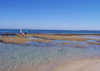 QueenscliffeTourist Park - Tourism Caloundra 3
