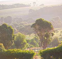 Mackas Farm - Tourism Caloundra
