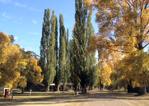 Omeo Caravan Park - Tourism Caloundra 0