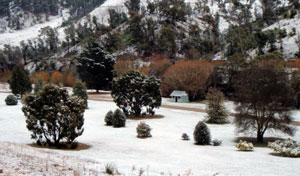 Omeo Caravan Park - Tourism Caloundra 1