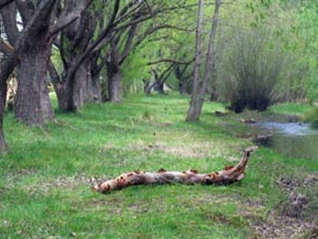 Omeo Caravan Park - Tourism Caloundra 3