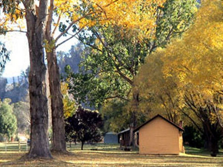 Omeo Caravan Park - Tourism Caloundra 4