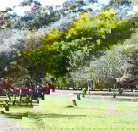 Otways Tourist Park - Tourism Caloundra