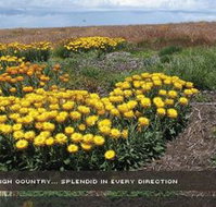 Alpine View Apartments - Tourism Caloundra